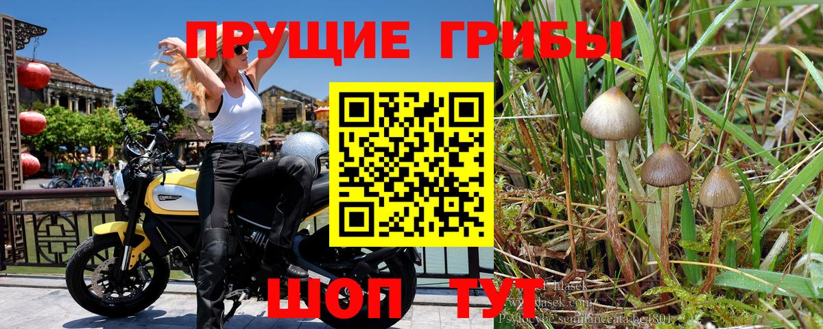 Псилоцибиновые грибы Cubensis  Галлюциногенные грибы ЛСД  Спасск-Дальний  Вход с VPN 
