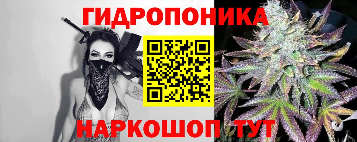 Спасск-Дальний  Бошки марихуана план  Марихуана конопля  Бошки марихуана THC 21%  Вход с VPN 